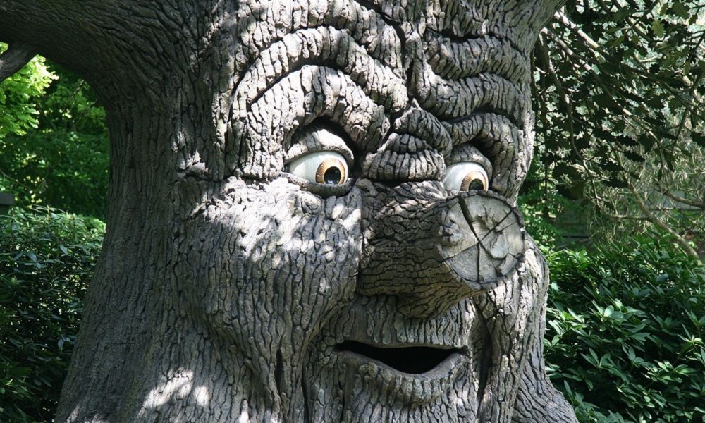 Efteling - Parque temático de cuentos de hadas - Turismo literario