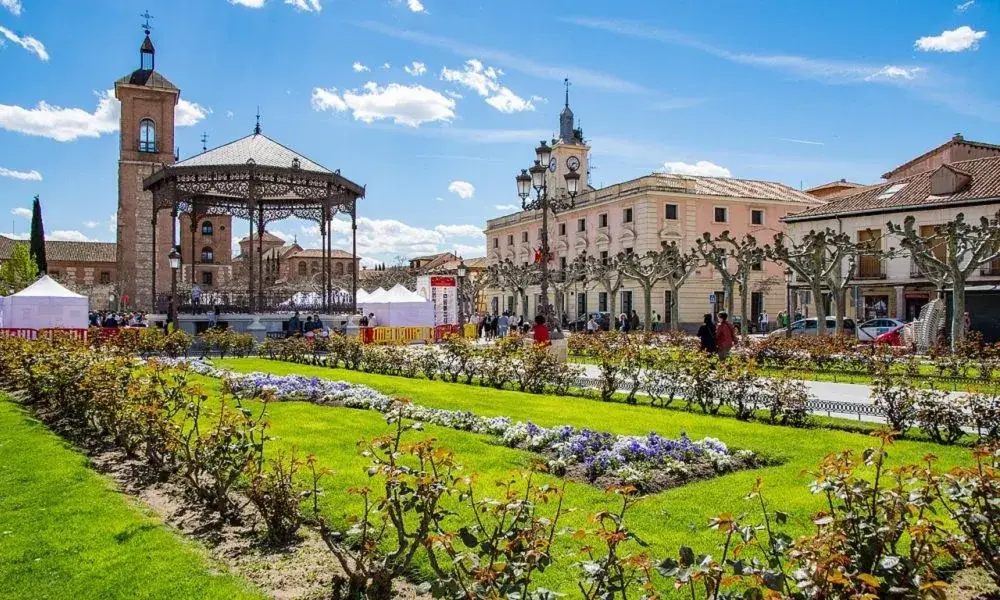 Free tour de Cervantes en Alcalá de Henares - Turismo literario